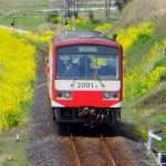 フランキー像 設置場所 高森駅［熊本 ワンピース銅像］